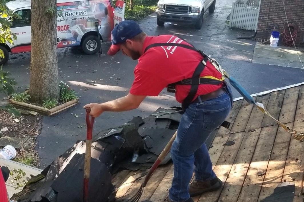 Roofing contractor removing old asphalt shingles during roof replacement using safety harness on residential home.